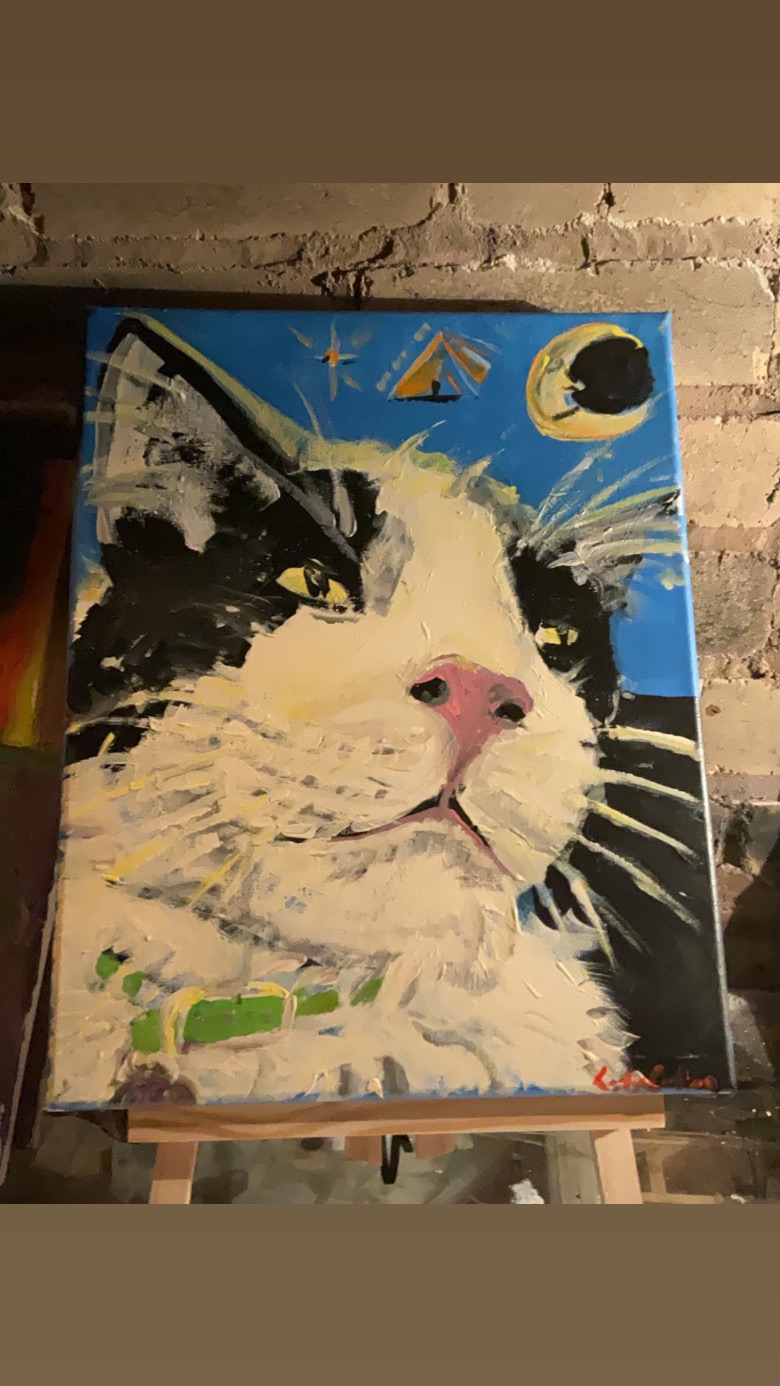 Original acrylic tuxedo cat painting night sky pet portrait 11x16 cat art Cody Carlson Minot ND
